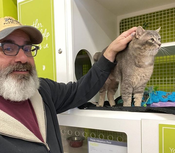 "Feline Finds Her Perfect Match: A Heartwarming Tale of a Cat Who Chooses Her Forever Human After Six Months of Waiting for a Home"